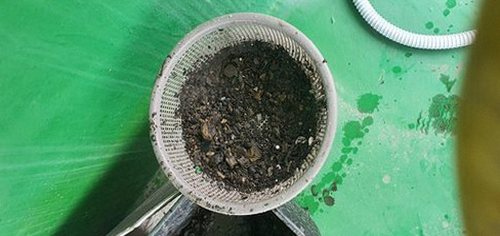 양평 하수구막힘 강상면 하수구막힘 상가의 직접 점검과 진단 비교